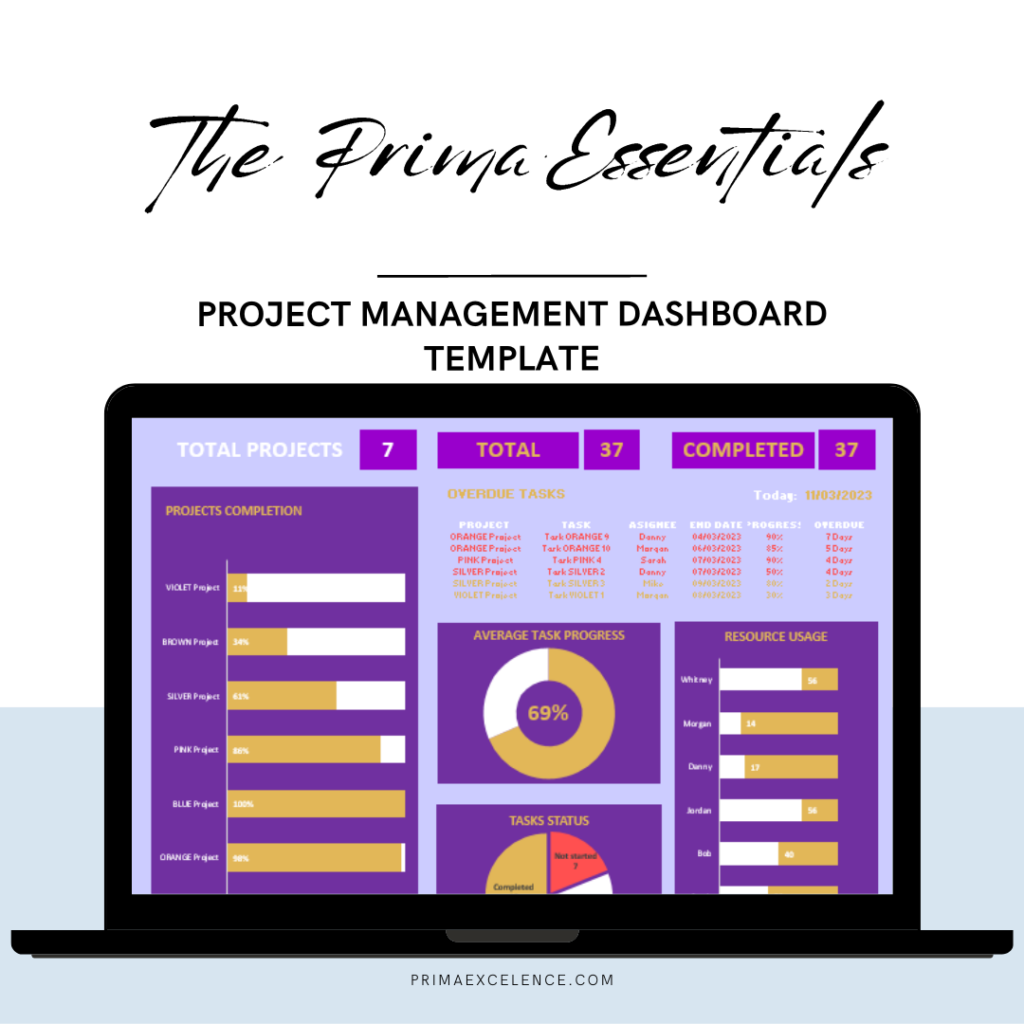 project-management-dashboard-template-primaexcellence